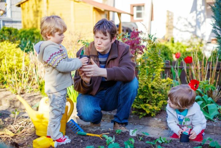 Kids' Garden